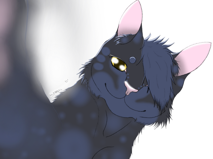 Pose for the camera Darknight