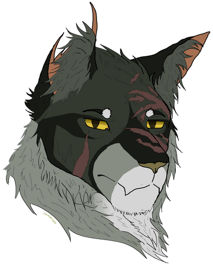 Wolfstar for Chiebie!